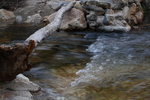 photo thumbnail #8
