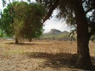 photo thumbnail #13