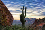 photo thumbnail #2