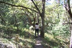 photo thumbnail #9