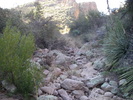 photo thumbnail #5