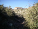 photo thumbnail #6