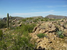 photo thumbnail #11