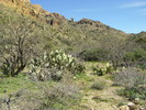 photo thumbnail #12