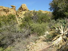 photo thumbnail #15