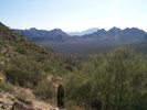 photo thumbnail #2