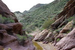 photo thumbnail #3
