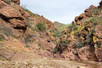 photo thumbnail #4
