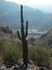 photo thumbnail #12