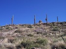 photo thumbnail #1