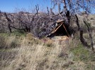 photo thumbnail #2
