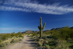 photo thumbnail #1