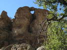 photo thumbnail #6