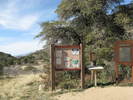 photo thumbnail #11