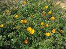 photo thumbnail #12
