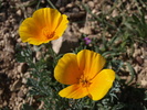 photo thumbnail #12