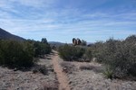 photo thumbnail #2
