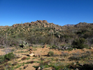 photo thumbnail #3