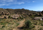 photo thumbnail #5