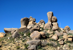 photo thumbnail #7