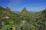 photo thumbnail #3