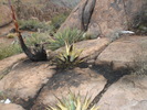 photo thumbnail #13