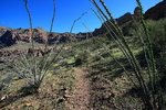 photo thumbnail #4