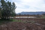 photo thumbnail #14