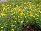 photo thumbnail #9