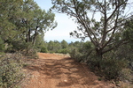 photo thumbnail #9
