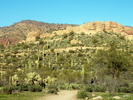 photo thumbnail #8