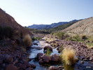 photo thumbnail #12