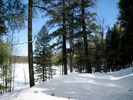photo thumbnail #11