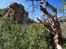 photo thumbnail #7