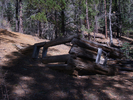 photo thumbnail #5