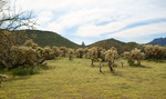 photo thumbnail #2