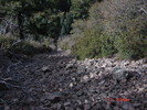 photo thumbnail #3