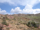 photo thumbnail #13