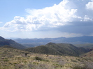 photo thumbnail #14