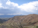 photo thumbnail #15