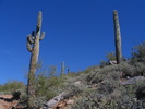 photo thumbnail #14