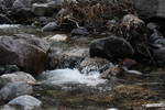 photo thumbnail #11