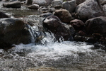 photo thumbnail #12
