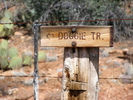 photo thumbnail #1