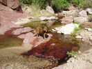 photo thumbnail #5