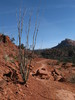 photo thumbnail #5