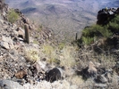 photo thumbnail #6