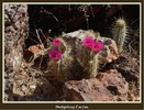 photo thumbnail #14