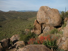photo thumbnail #3