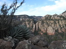 photo thumbnail #8